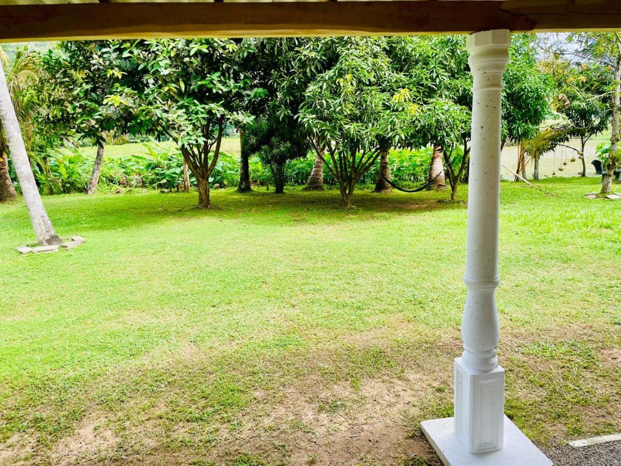 Secret Garden Mirissa Villa Exteriör bild