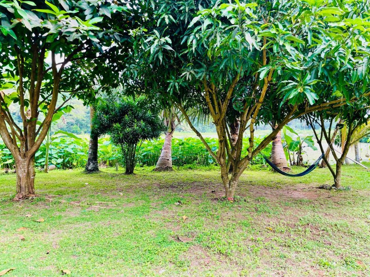 Secret Garden Mirissa Villa Exteriör bild